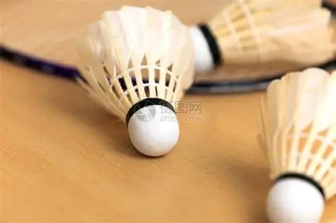 Tournament Grade Goose Feather Shuttlecocks - Medium Speed - Image 3